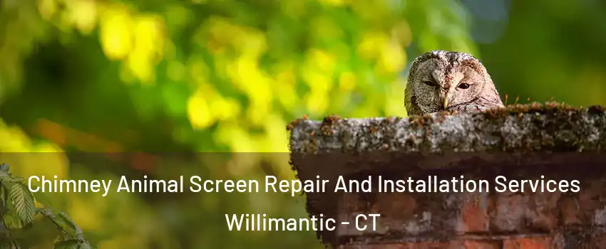  Chimney Animal Screen Repair And Installation Services Willimantic - CT