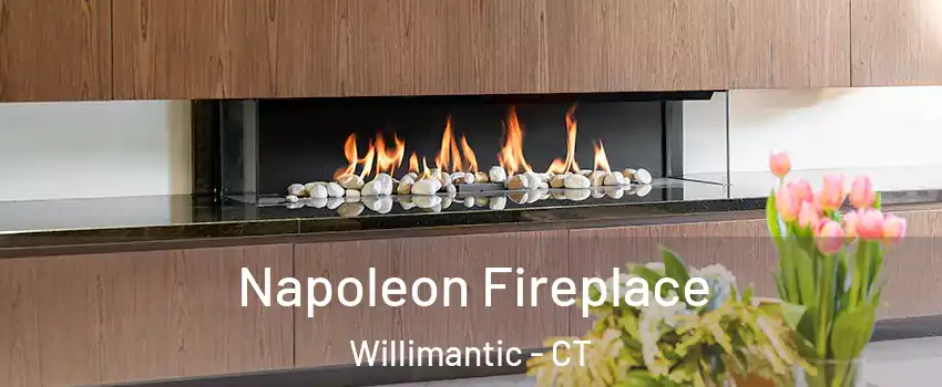  Napoleon Fireplace Willimantic - CT
