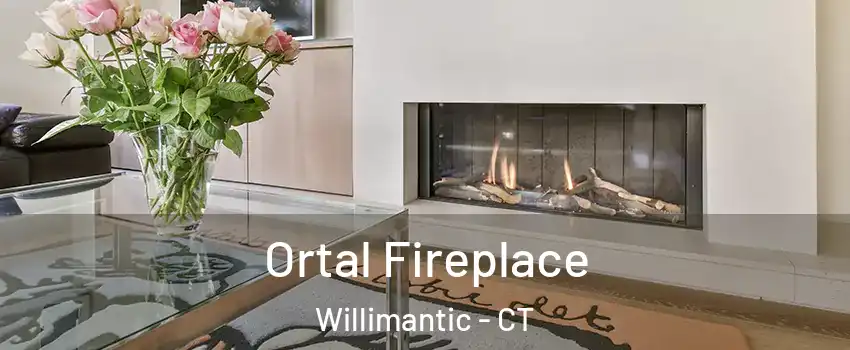  Ortal Fireplace Willimantic - CT